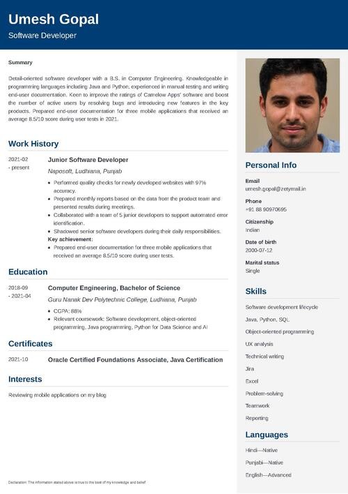 resume format after 1 year experience